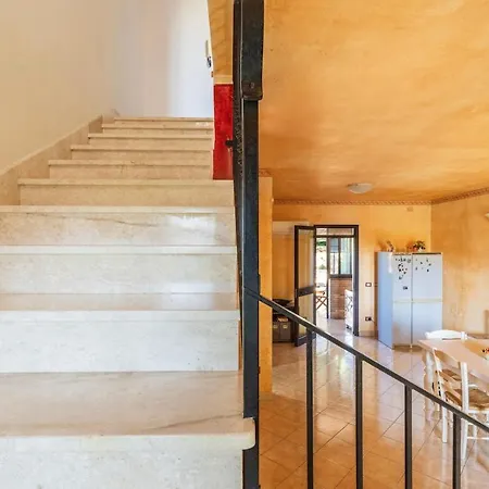 Large With Veranda- 2 Km From And Center Appartement *